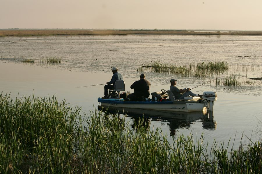 Three anglers fishing from a bass boat on calm marsh water in late-afternoon light